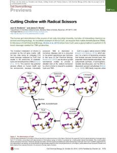 Cell-Chemical-Biology_2016_Cutting-Choline-with-Radical-Scissors