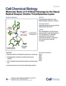 Cell-Chemical-Biology_2016_Molecular-Basis-of-C-N-Bond-Cleavage-by-the-Glycyl-Radical-Enzyme-Choline-Trimethylamine-Lyase