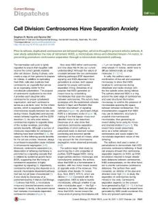 Current-Biology_2017_Cell-Division-Centrosomes-Have-Separation-Anxiety