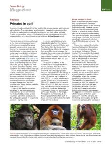 Current-Biology_2017_Primates-in-peril