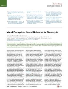 Current-Biology_2017_Visual-Perception-Neural-Networks-for-Stereopsis
