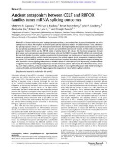 Genome Res.-2017-Gazzara-Ancient antagonism between CELF and RBFOX families tunes mRNA splicing outcomes
