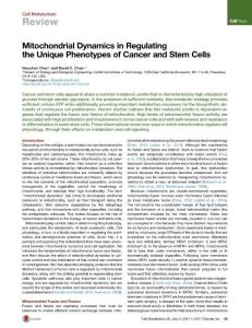 Cell-Metabolism_2017_Mitochondrial-Dynamics-in-Regulating-the-Unique-Phenotypes-of-Cancer-and-Stem-Cells