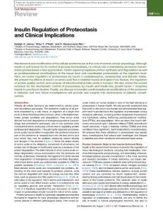 Cell-Metabolism_2017_Insulin-Regulation-of-Proteostasis-and-Clinical-Implications