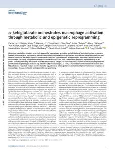 ni.3796-α-ketoglutarate orchestrates macrophage activation through metabolic and epigenetic reprogramming