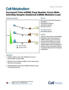Cell-Metabolism_2017_Increased-Total-mtDNA-Copy-Number-Cures-Male-Infertility-Despite-Unaltered-mtDNA-Mutation-Load