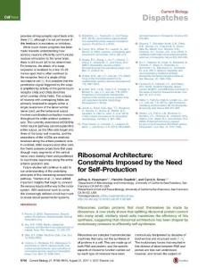 Current-Biology_2017_Ribosomal-Architecture-Constraints-Imposed-by-the-Need-for-Self-Production
