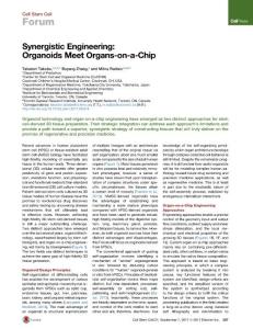 Cell-Stem-Cell_2017_Synergistic-Engineering-Organoids-Meet-Organs-on-a-Chip