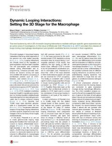 Dynamic-Looping-Interactions-Setting-the-3D-Stage-for-the-Macrophage_2017_Molecular-Cell