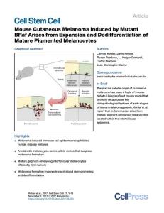 Cell-Stem-Cell_2017_Mouse-Cutaneous-Melanoma-Induced-by-Mutant-BRaf-Arises-from-Expansion-and-Dedifferentiation-of-Mature-Pigmented-Melanocytes