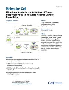 Molecular-Cell_2017_Mitophagy-Controls-the-Activities-of-Tumor-Suppressor-p53-to-Regulate-Hepatic-Cancer-Stem-Cells