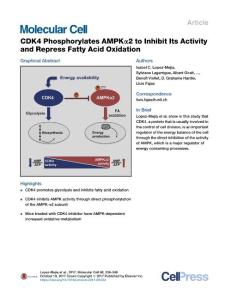 CDK4-Phosphorylates-AMPK-2-to-Inhibit-Its-Activity-and-Repre_2017_Molecular-