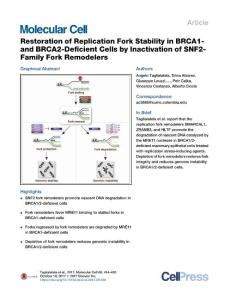 Restoration-of-Replication-Fork-Stability-in-BRCA1--and-BRCA2-D_2017_Molecul