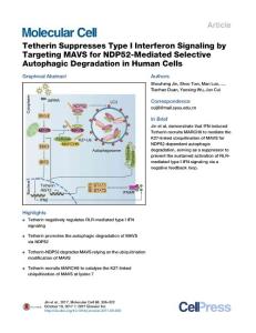 Tetherin-Suppresses-Type-I-Interferon-Signaling-by-Targeting-MAV_2017_Molecu