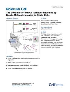 The-Dynamics-of-mRNA-Turnover-Revealed-by-Single-Molecule-Im_2017_Molecular-