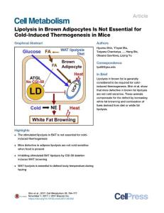 Lipolysis-in-Brown-Adipocytes-Is-Not-Essential-for-Cold-Indu_2017_Cell-Metab