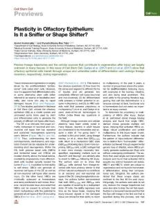 Plasticity-in-Olfactory-Epithelium--Is-It-a-Sniffer-or-Shap_2017_Cell-Stem-C