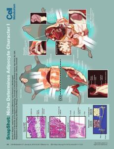 SnapShot--Niche-Determines-Adipocyte-Character-I_2018_Cell-Metabolism