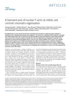 ncb3641-A transient pool of nuclear F-actin at mitotic exit controls chromatin organization-