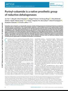 nchembio.2512-Purinyl-cobamide is a native prosthetic group of reductive dehalogenases