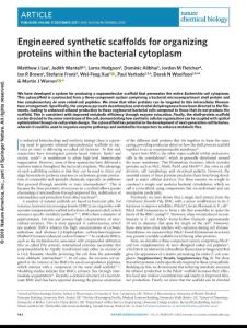 nchembio.2535-Engineered synthetic scaffolds for organizing proteins within the bacterial cytoplasm