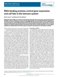 NI-2018-RNA-binding proteins control gene expression and cell fate in the immune system