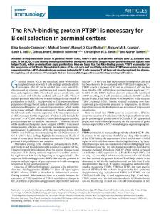 NI-2018-The RNA-binding protein PTBP1 is necessary for B cell selection in germinal centers