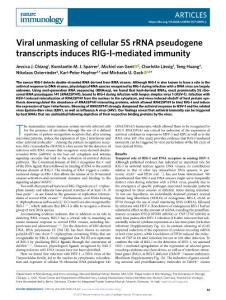 NI-2018-Viral unmasking of cellular 5S rRNA pseudogene transcripts induces RIG-I-mediated immunity