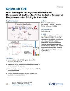 Dual-Strategies-for-Argonaute2-Mediated-Biogenesis-of-Erythroid_2018_Molecul