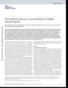 nsmb.3499-Short poly(A) tails are a conserved feature of highly expressed genes