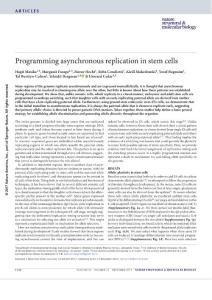 nsmb.3503-Programming asynchronous replication in stem cells