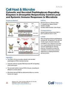 Cytosolic-and-Secreted-Peptidoglycan-Degrading-Enzymes-in-Dros_2018_Cell-Hos
