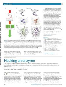 nchembio.2574-Protein evolution- Hacking an enzyme