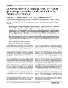 Genome Res.-2018-Naqvi-Conserved microRNA targeting reveals preexisting gene dosage sensitivities that shaped amniote sex chromosome evolution