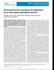 nchembio.2018-Structural basis for backbone N-methylation by an interrupted adenylation domain