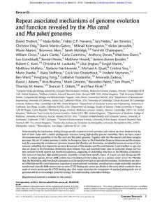 Genome Res.-2018-Thybert-Repeat associated mechanisms of genome evolution and function revealed by the Mus caroli and Mus pahari genomes