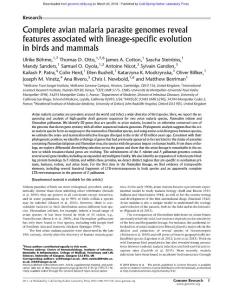 Genome Res.-2018-B鰄me-Complete avian malaria parasite genomes reveal features associated with lineage-specific evolution in birds and mammals