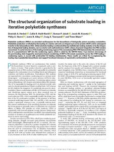 nchembio.2018-The structural organization of substrate loading in iterative polyketide synthases