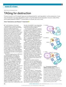 nchembio.2018-TAGing for destruction