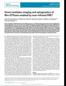nchembio.2018-Direct multiplex imaging and optogenetics of Rho GTPases enabled by near-infrared FRET