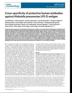 ni.2018-Cross-specificity of protective human antibodies against Klebsiella pneumoniae LPS O-antigen