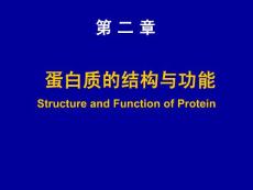 生物化学——蛋白质的结构与功能