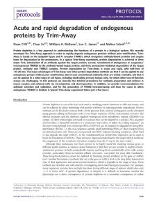 nprot.2018-Acute and rapid degradation of endogenous proteins by Trim-Away