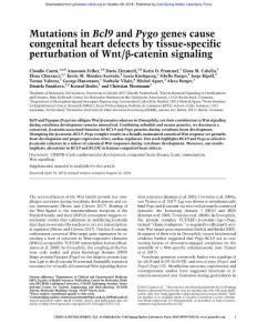 Genes Dev.-2018-Cantù-Mutations in Bcl9 and Pygo genes cause congenital heart defects by tissue-specific perturbation of Wnt:β-catenin signaling