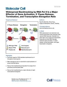 Widespread-Backtracking-by-RNA-Pol-II-Is-a-Major-Effector-of-Gen_2018_Molecu