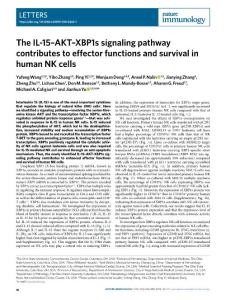 ni.2018-The IL-15–AKT–XBP1s signaling pathway contributes to effector functions and survival in human NK cells