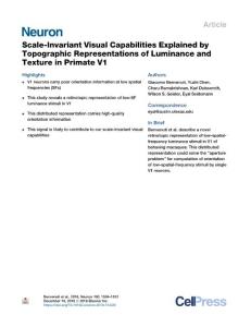 Scale-Invariant-Visual-Capabilities-Explained-by-Topographic-Repres_2018_Neu