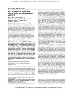 Genes Dev.-2018-Cohen-PRC1 preserves epidermal tissue integrity independently of PRC2