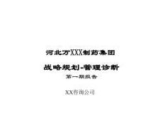 某制药集团战略规划之管理诊断报告