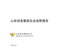 山东招金集团企业诊断报告